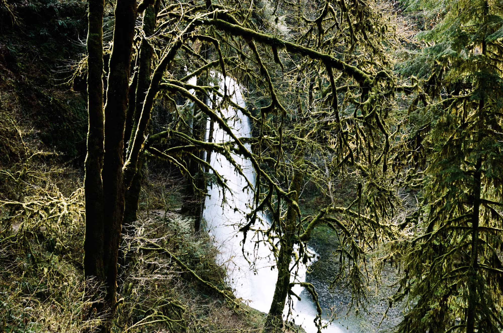 Camping Essentials: Your Ultimate Guide to Outdoor Adventures